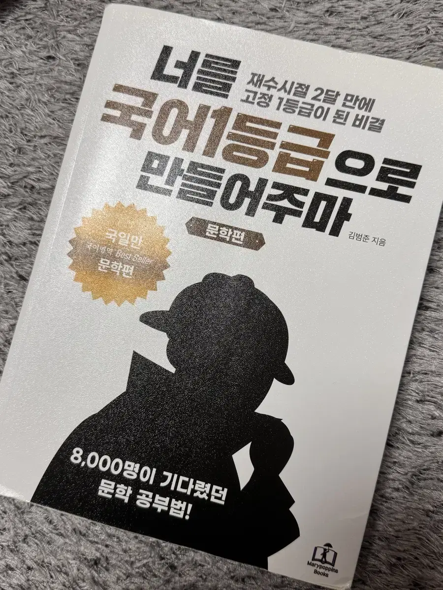 너를 국어 1등급으로 만들어주마 (문학편)_ 국일만